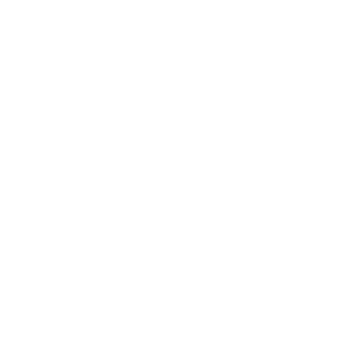 Ciaxe Economica Federal Logo